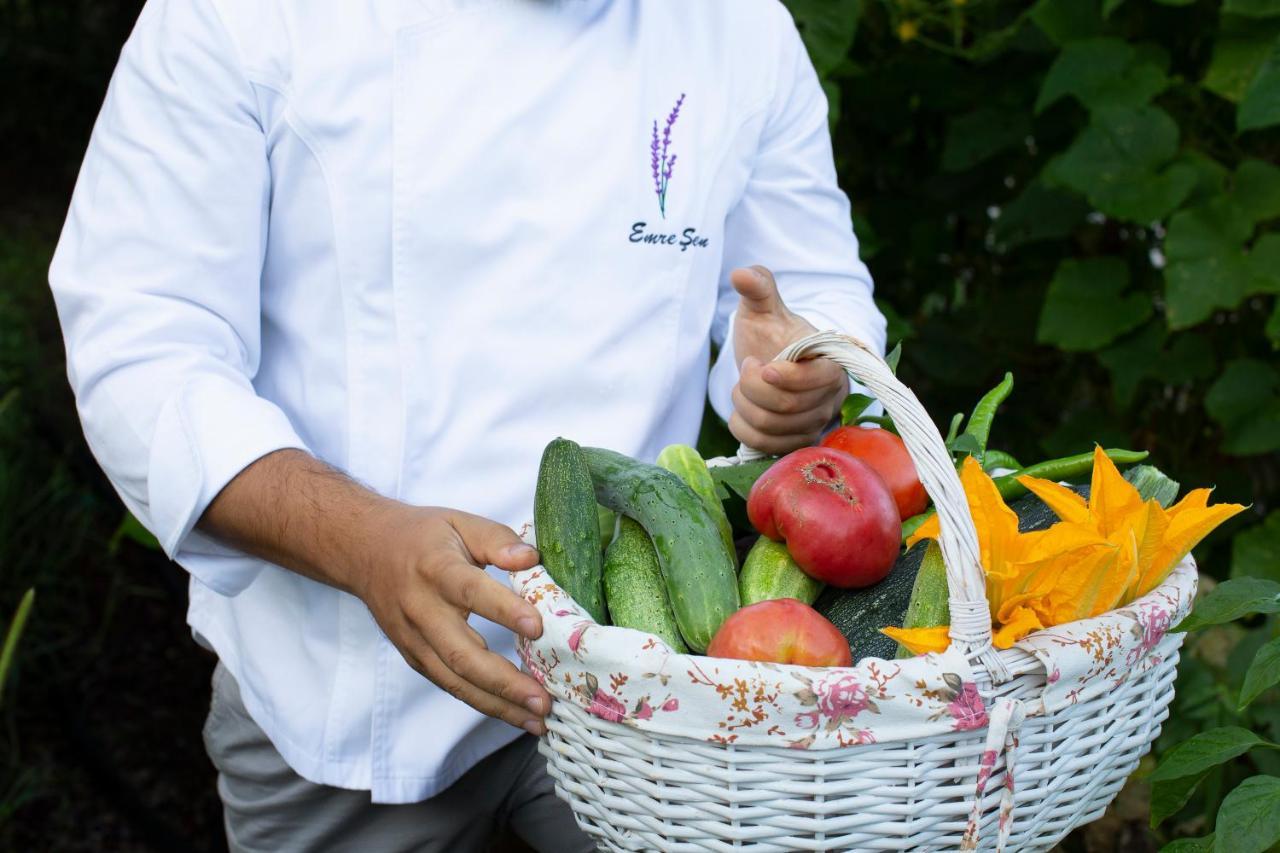 Casa Lavanda Boutique Hotel Ağva エクステリア 写真